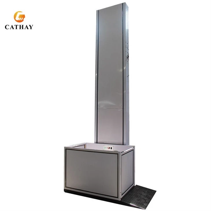 Disabled Passenger Lift